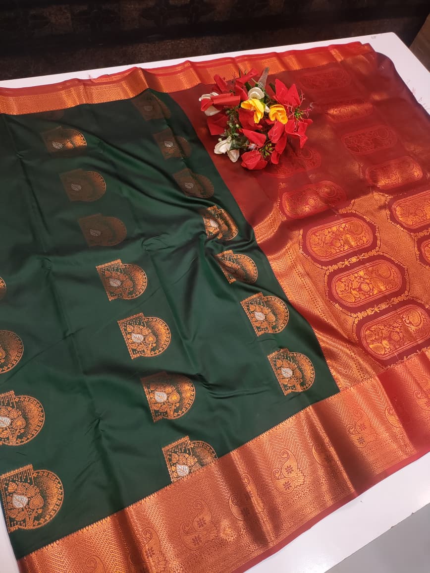Vishalini Kanchi Meena Soft Silk Saree VS01